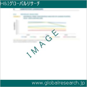 グローバルリサーチ調査レポートのイメージ